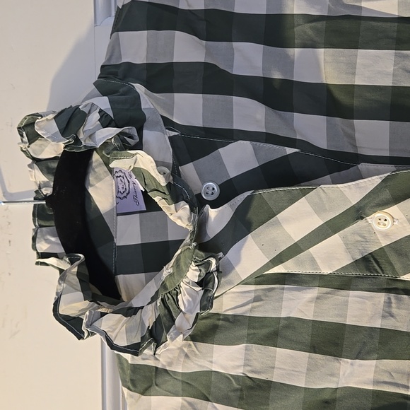 Thierry Colson Green Gingham Long-Sleeve Midi Dress - Picture 5 of 9